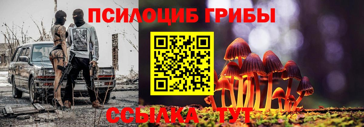 Людиново  Псилоцибиновые грибы Cubensis  даркнет сайт  Псилоцибиновые грибы Psilocybine cubensis  Вход с VPN 